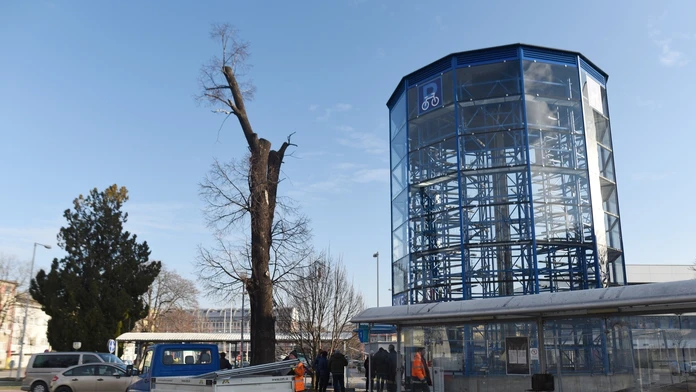 Na snímke prvá cykloveža na Slovensku, ktorú otvorili pri Železničnej stanici v Trnave 