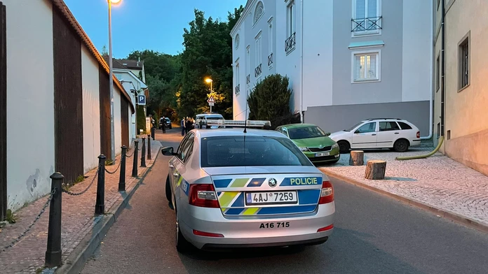 Česká polícia.