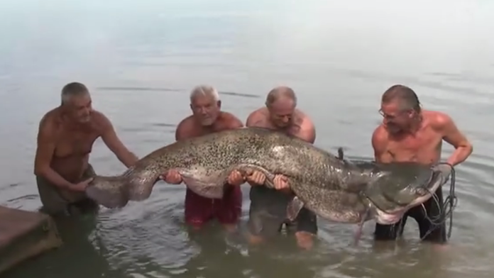 Prezidentka Zuzana Čaputová s nemeckou kancelárkou Angelou Merkelovou.
