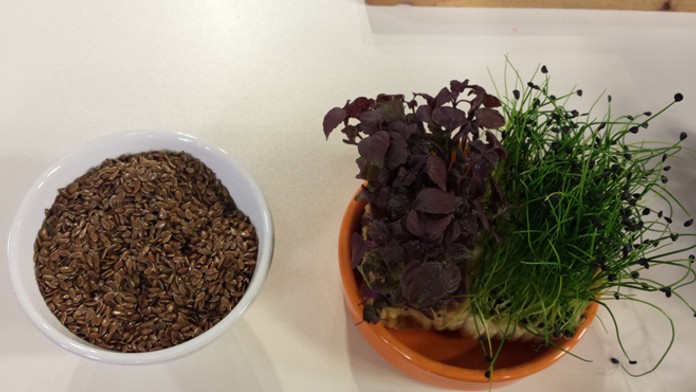 Ľanové semienka a bazalka