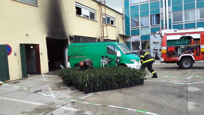 Hasiči vyniesli z dielne väčšie množstvo zelenej rastliny.