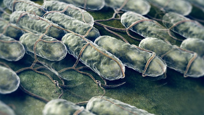 Ilustračná snímka.