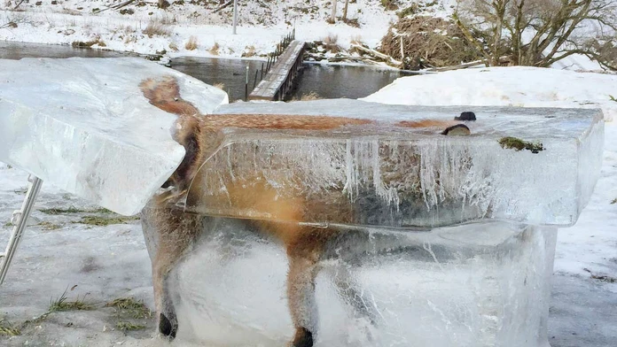 Má byť varovaním.