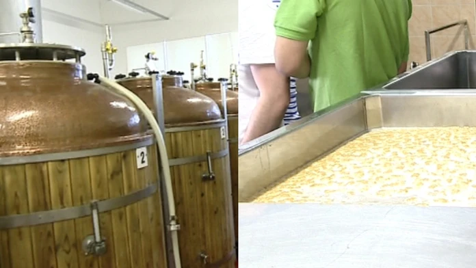 pivo.jpg