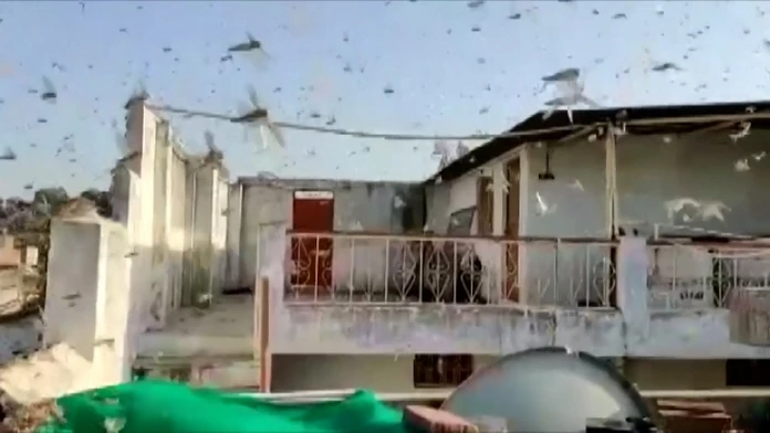Virus_Outbreak_Europe_EU_Summit739553698472.jpg
