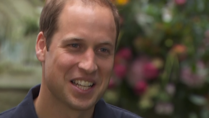 Princ William