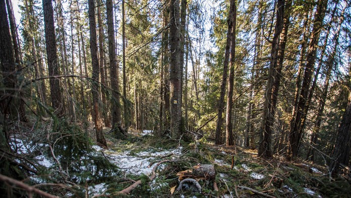 Ilustračná snímka