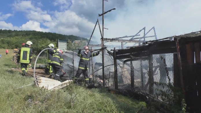 Oheň chovateľa pripravil o roky snahy.