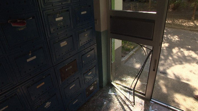 Diviak na návšteve. 