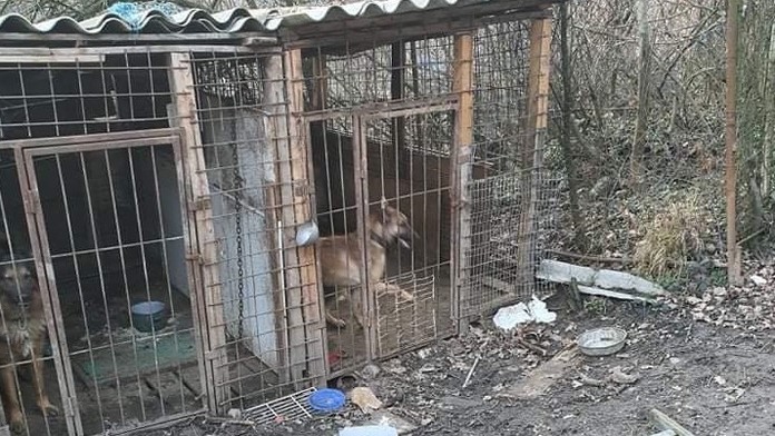 Moja malá princezná