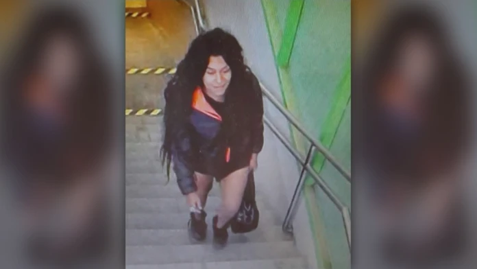 Údajný útočník