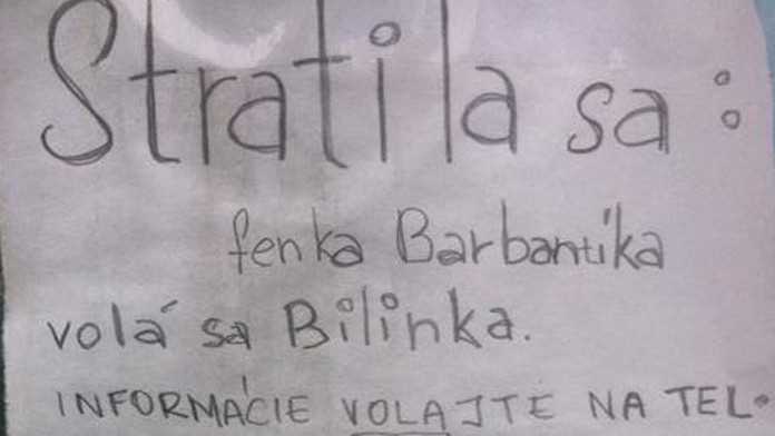 bra.jpg