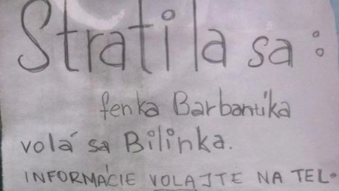 bra.jpg