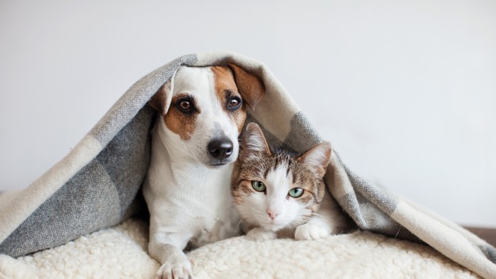 Ilustračná snímka.