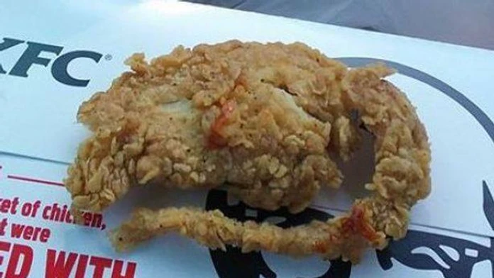 Fotka pobúrila verejnosť. Vypražili v reštaurácií potkana?
