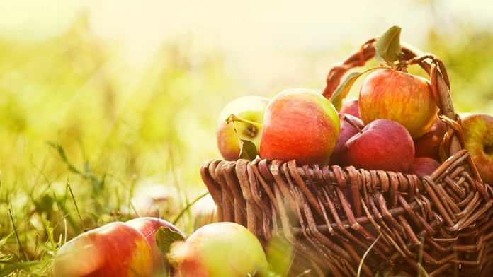 Jablká v košíku - ilustračná snímka