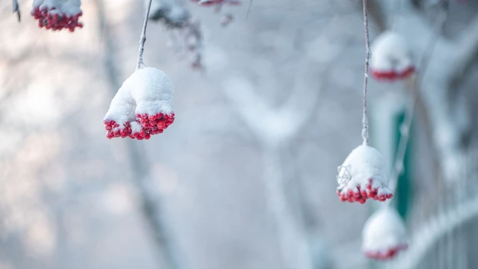 V nedeľu cez deň môže pocitová teplota dosiahnuť až – 15 °C. SHMÚ zverejnil, kde bude najchladnejšie