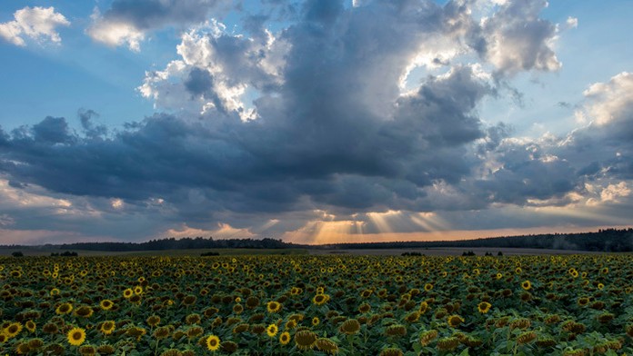 Ilustračná snímka.