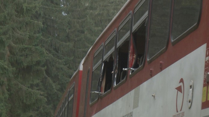 Padajúci strom rozbil okná na vlaku.