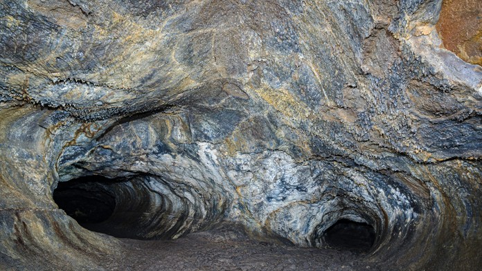 V Indii objavili pozostatky „najväčšieho hada, aký kedy žil“. Bol dlhší ako Tyrannosaurus Rex