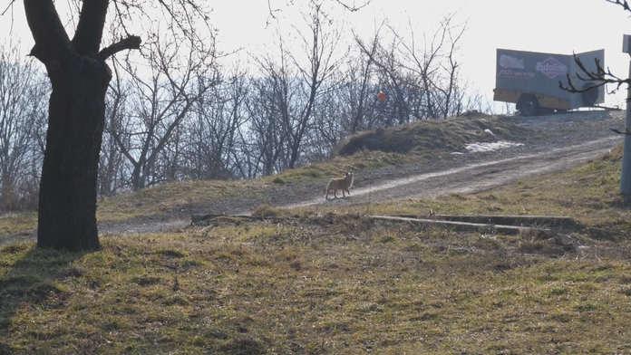 kozmonaut_tvnoviny.mp4