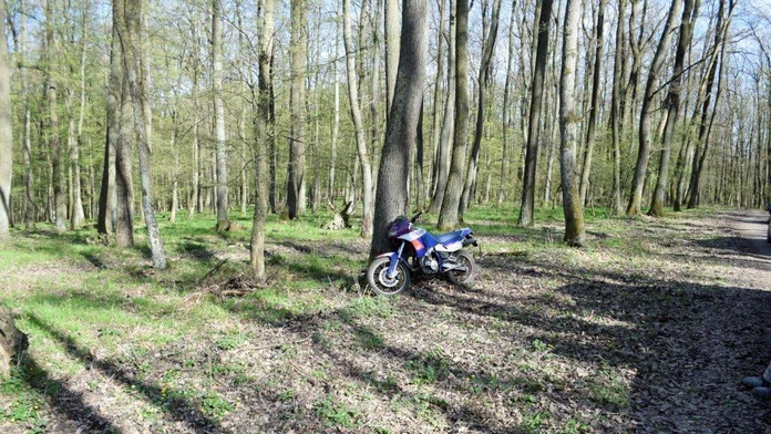 Motoristi v lese.