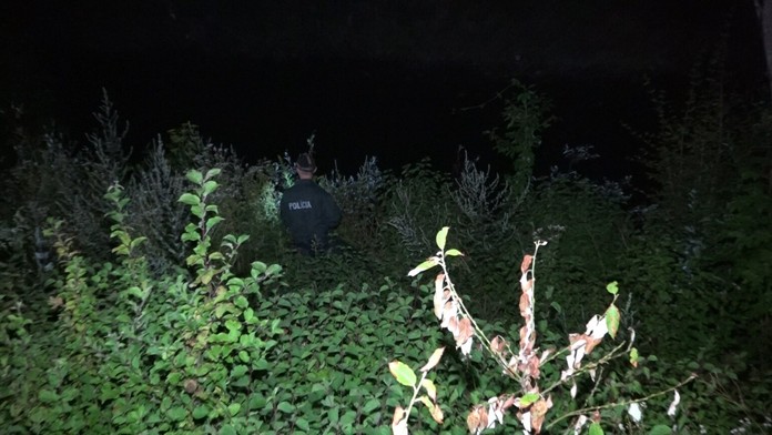 Dua Lipa a Anwar Hadid