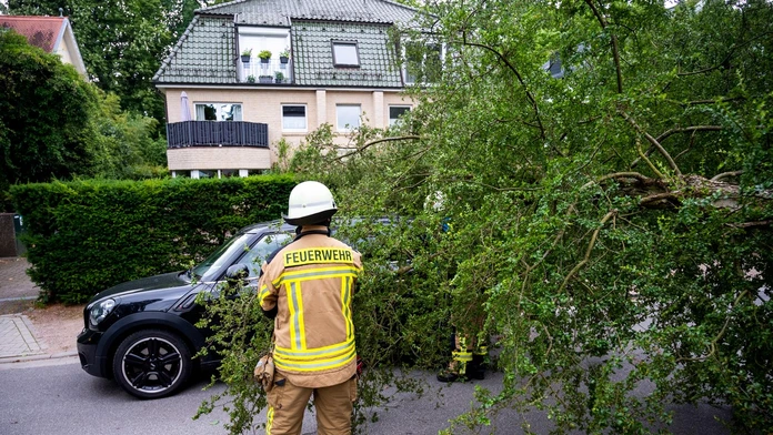 Spadnutý strom po búrke odstraňujú na ceste nemeckí hasiči.
