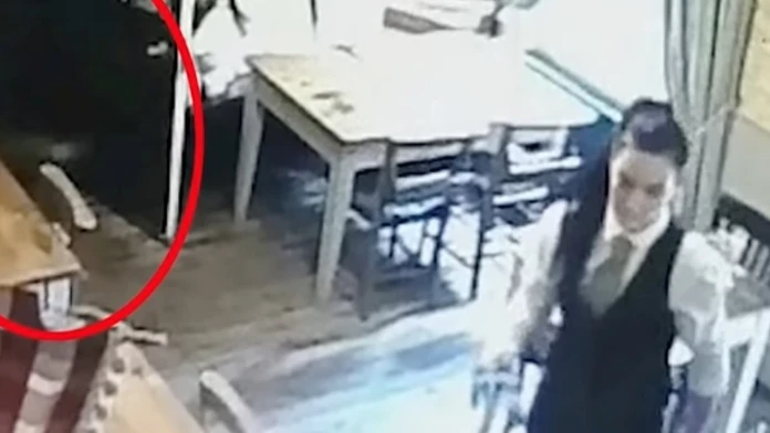 Veronika si kúpila vysnívané auto.