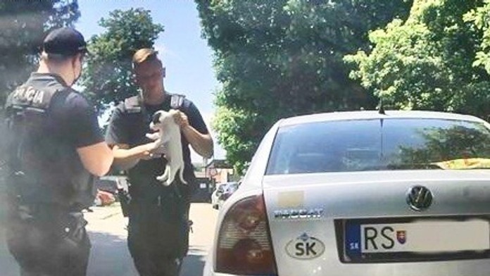 Policajti zachraňovali psa.