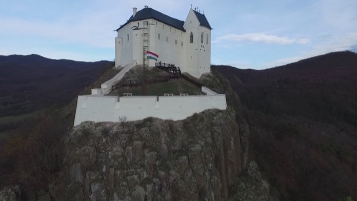 Vlčie mláďatá.