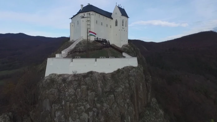 Vlčie mláďatá.