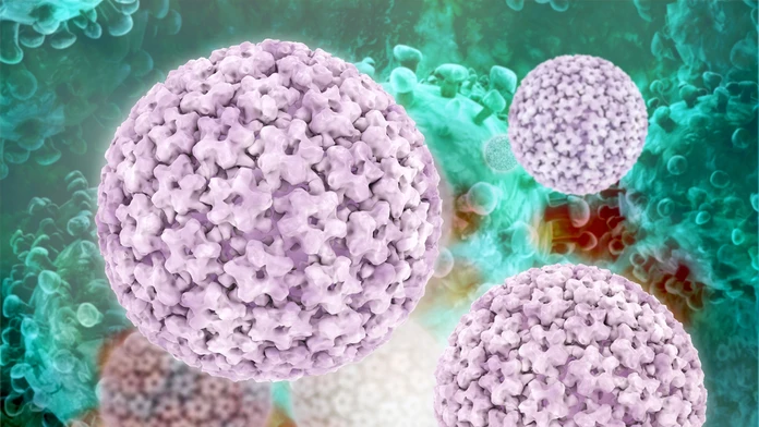 HPV vírus