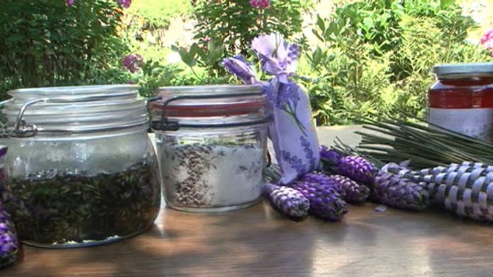 Netradičné recepty z levandule