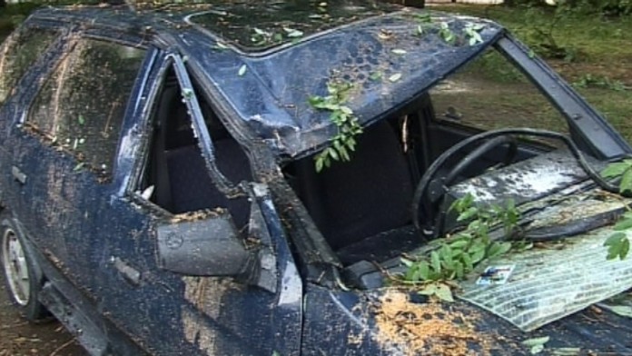 19 NZ Stromy poskodili auta .transferweb_jpg_bez_watermarku_1.jpg