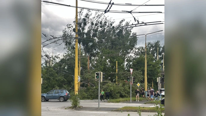 FOTO: Spadnutý strom dotrhal elektrické vedenie. V Košiciach a okolí ľudí trápi silný vietor aj dážď