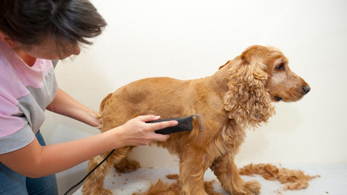 Ilustračná snímka.