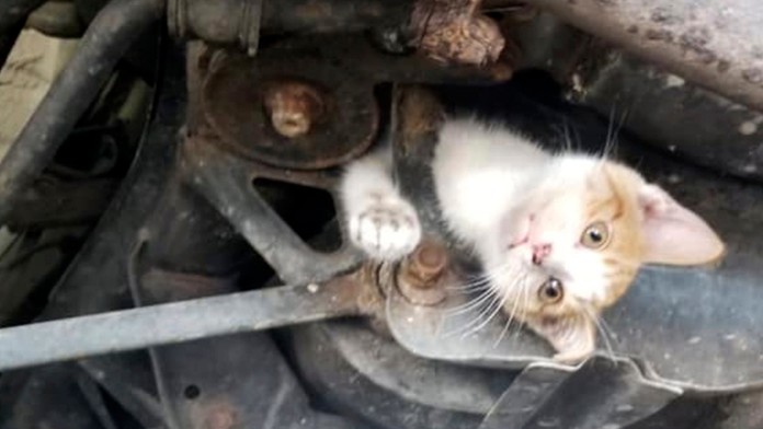 Ružomberok chce ísť do zápasu v Sofii rozumne.