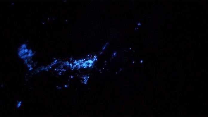 Na Gemeri našli niečo unikátne. Keď rozsvietili UV lampu zostali v nemom úžase