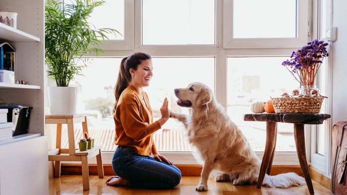Vedci tvrdia, že už čoskoro budeme môcť hovoriť so zvieratami. Umožní to tento prístroj