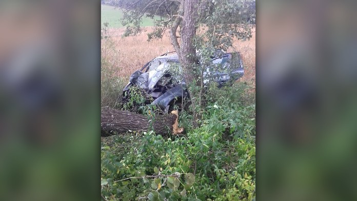 Tragická nehoda v okrese Rožňava. Vodič neprežil silný náraz do stromu