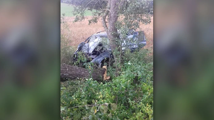 Tragická nehoda v okrese Rožňava. Vodič neprežil silný náraz do stromu