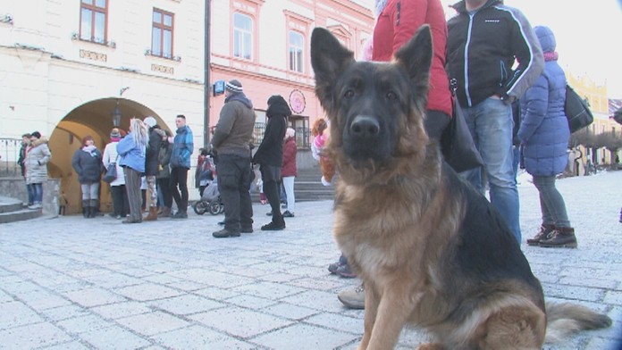 Protest psíčkarov v centre Prešova. 