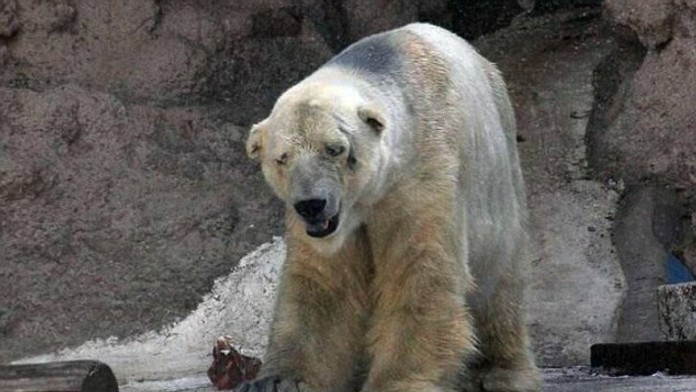 arturo1.jpg