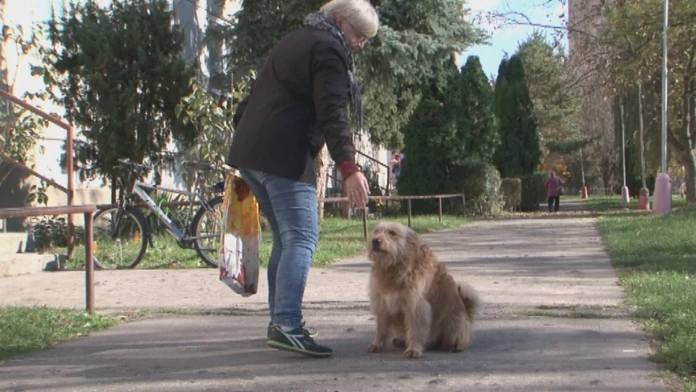 Tulák Ťapko s obyvateľkou Partizánskeho.