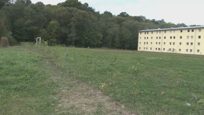 Stromy považujú za segregáciu