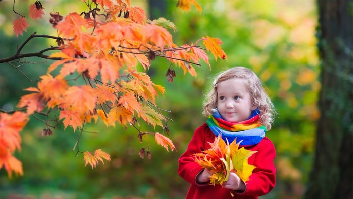 shutterstock_311448788.jpg