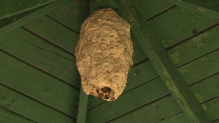 SRSNEweb_jpg_bez_watermarku_1.jpg