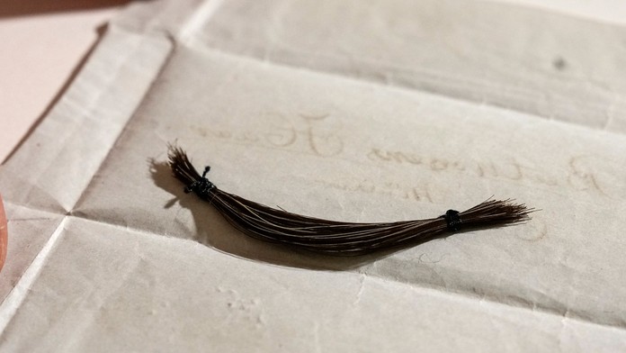 Vedci odhalili príčinu Beethovenovej smrti. Kľúčom bola analýza jeho vlasov