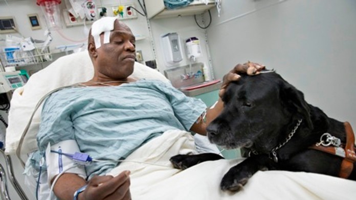 Pes zachárnil nevidiaceho pána